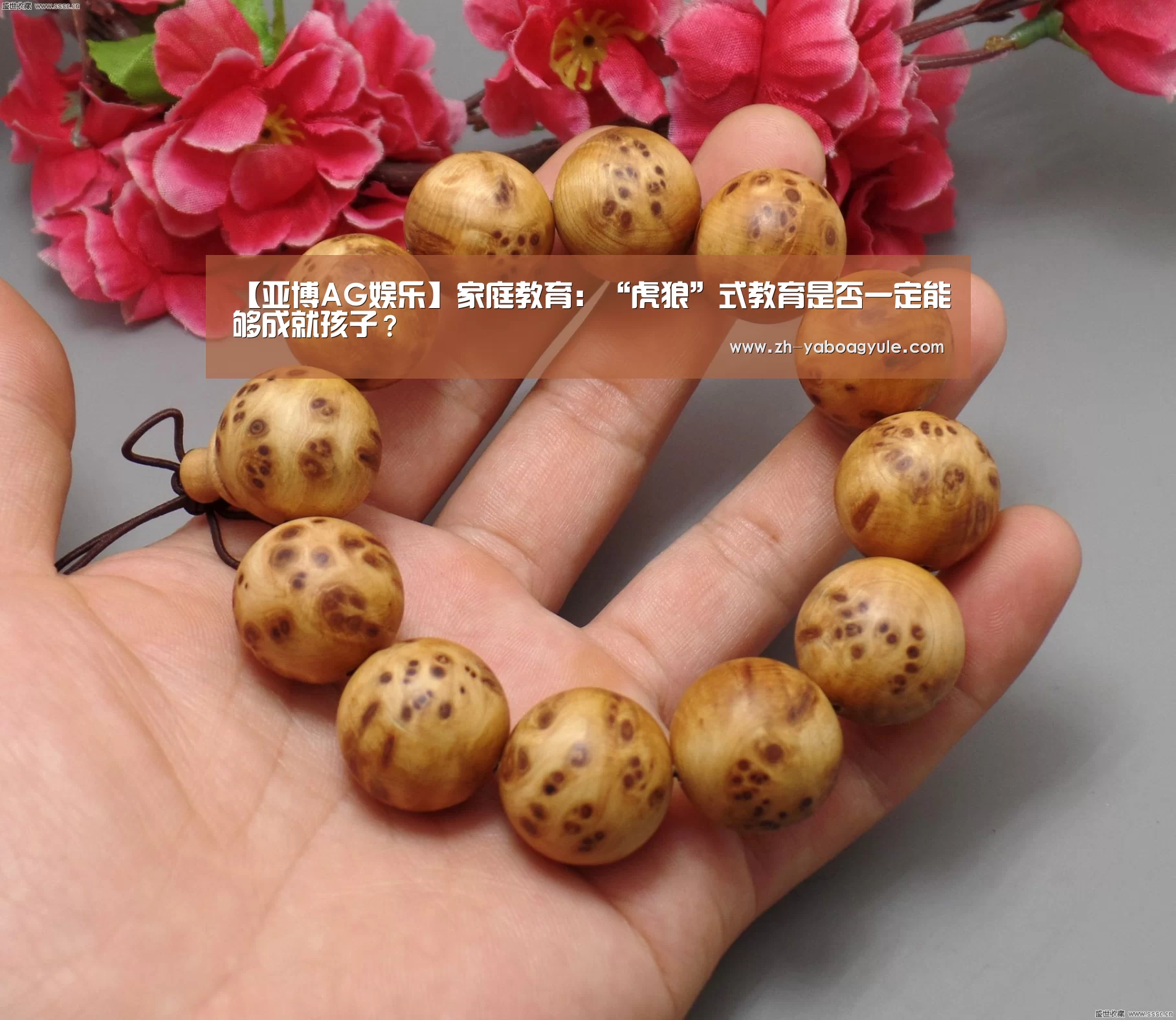 【亚博AG娱乐】家庭教育:“虎狼”式教育是否一定能够成就孩子?(图2) 亚博AG娱乐